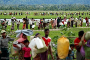  21 منظمة روهنغية تحدد شروطاً لعودة اللاجئين إلى ميانمار