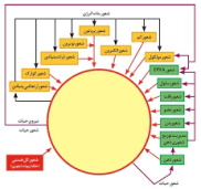 آشنایی با تاریخچه و  اهداف عرفان حلقه (کیهانی) 4