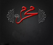 The Revolution of Imam Hussain (A.S.)