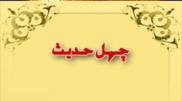 نظرية عدالة الصحابة (4)