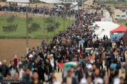 3 Palestinians martyred, over 600 injured in 5th Friday of demonstrations in Gaza