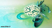 Childhood and Wisdom of Imam Muhammad Taqi (A.S.)