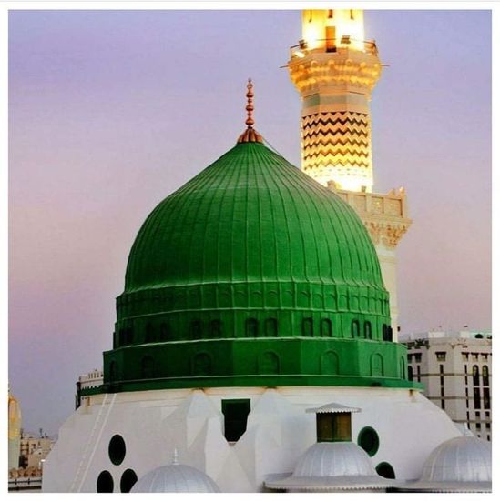 چرا پیامبر اسلام صلی الله علیه و آله در آغاز رسالت مخفیانه تبلیغ می کرد؟