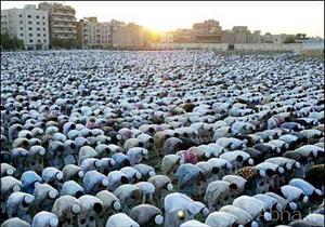  اعتراف واتیكان به انتشار گسترده اسلام در جهان  