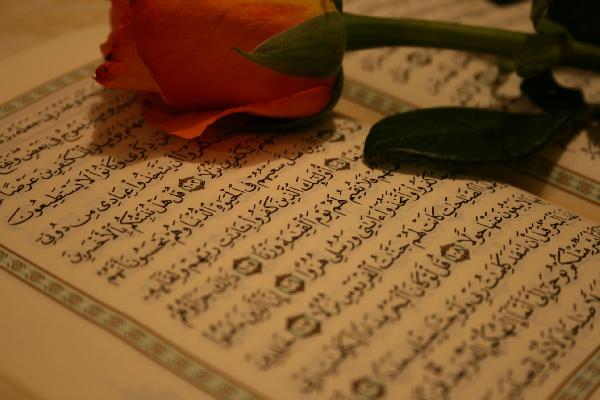قرآن در قرآن‏