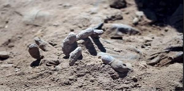  Over 50 mass graves unearthed in various parts of Iraq: UN 