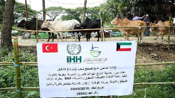 Turkish aid groups share with Myanmar Muslims for Eid