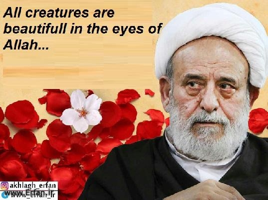 All people are beautifull in the eyes of Allah...
