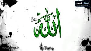 مستبصر موريتاني: الإمام علي (ع) هو نفس النبي (ص) وعدل القرآن