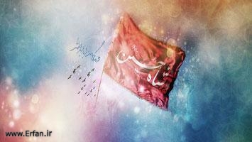 الثورة الحسينية اسبابها ومخططاتها القسم الثاني