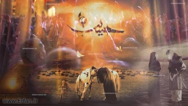 The Reaction after the Martyrdom of Imam Husain (A.S.)