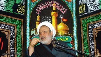 Professor Ansarian: the infallibility of our Imams