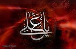 The Love and Wilayat of Ali (a.s.) is a Guarantee of True Safety and Protection