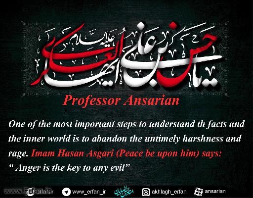 Professor Ansarian: Untimely harshness and rage