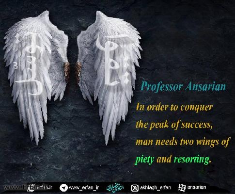Professor Ansarian: two wings of piety and resorting