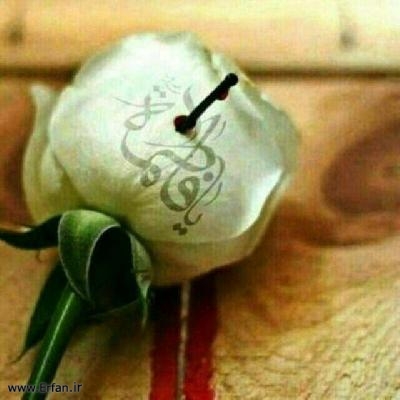 The Suffering of Lady Fatima al-Zahra after Holy Prophet